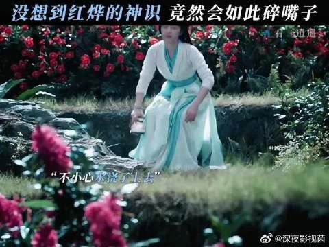 小叶子你这么话痨,你家君上知道吗?