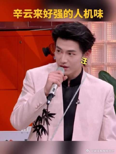 辛云来表白李雪琴，人机味十足