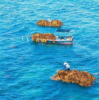 海洋保健食品,您选对了吗?