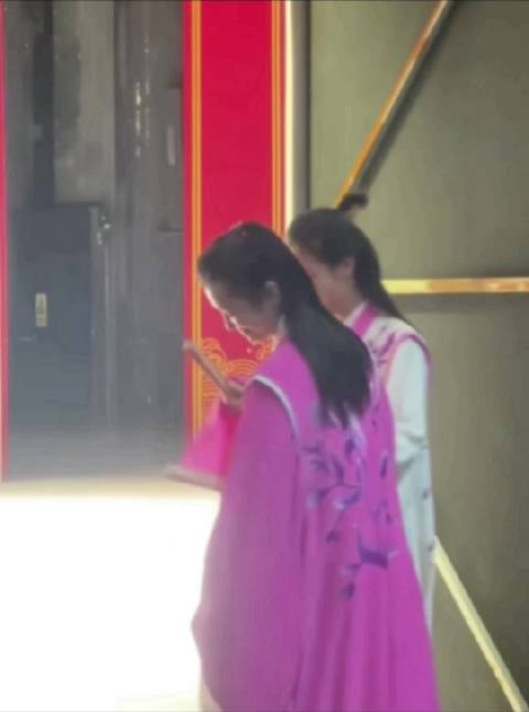 小白和小粉飞到哪里去了