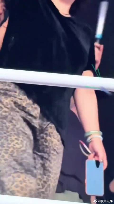 王菲化身小迷妹现身谢霆锋西安演唱会