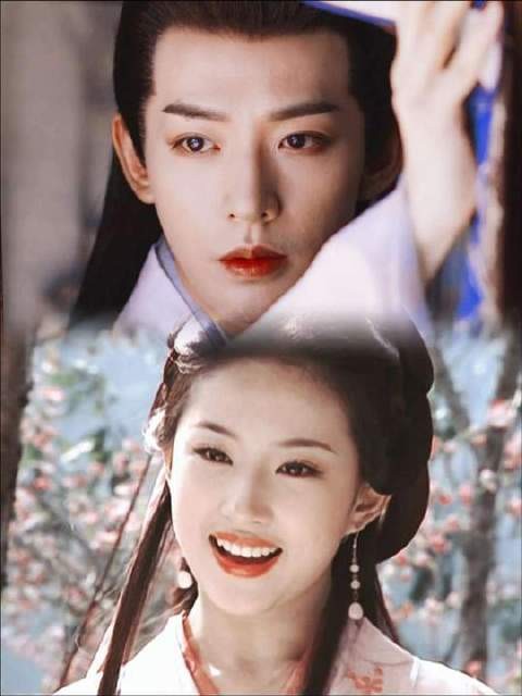 传闻郑府迎入一位王姑娘,风姿绰约,气韵非凡 王语嫣 楼启炎