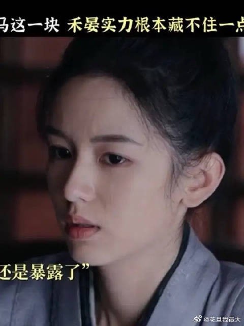 禾晏:不好意思吼,实力不允许啊