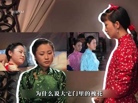 《大宅门》深度拉片:白景琦四房妻妾,为何独独不喜槐花?
