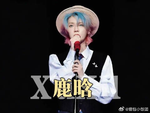鹿晗连鞠5躬致谢十年老粉