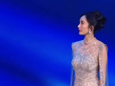只要有杨幂的红毯,我心中她就是No