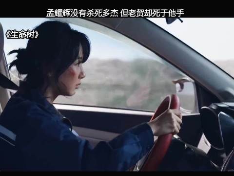 生命树：这一段太紧张了，孟耀辉交代一切，杨紫这演技也是无敌了