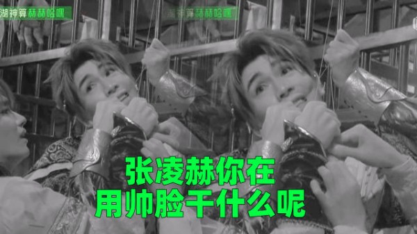 直接“上口”的赫赫哈嘿，真有你的 张凌赫开始推理吧4