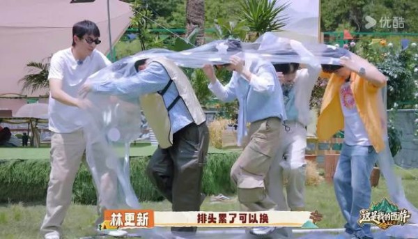 小西西在哪个综艺现在都是猫塑认证