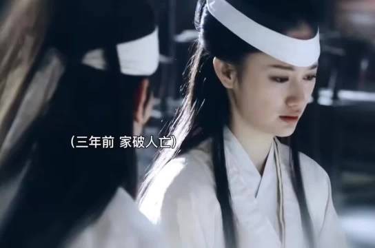 你连看都不敢看,又怎么能明白她被一针一针刺上花时的屈辱