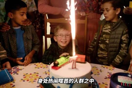 女子参加外甥生日派对,礼物盒惊现死亡宠物猫