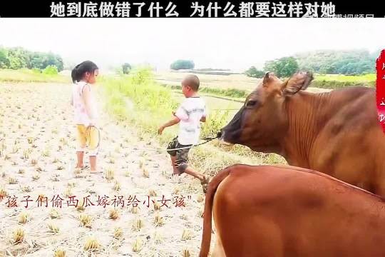 她到底做错了什么,为什么要这样对她