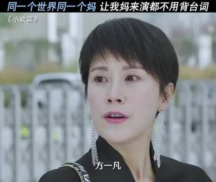 巧了,让我妈来演也不用背台词, 童文洁 / 小欢喜
