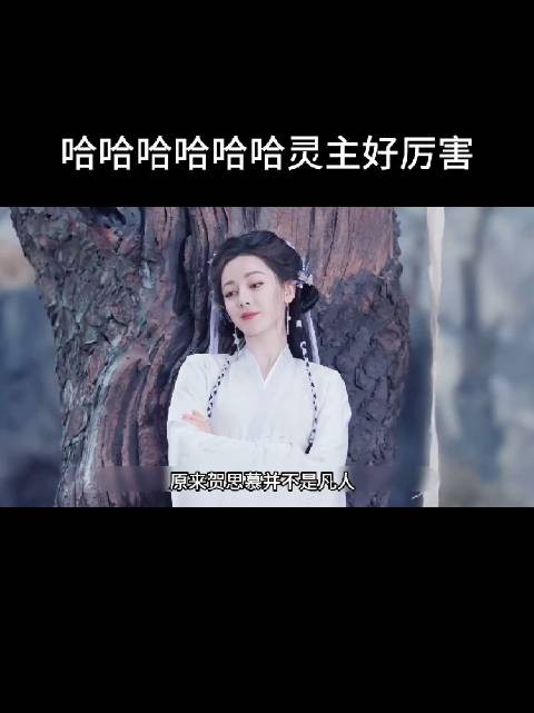薛慕投被贺思慕误听为削木头引欢笑
