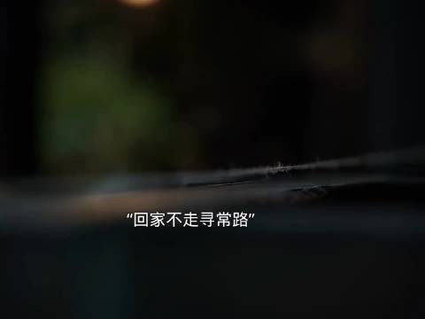 王家机关暗藏杀机,父女双绝引热议