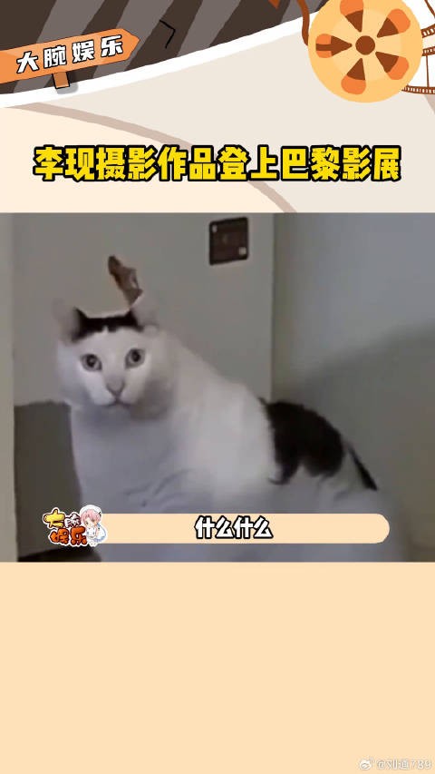真不愧是抓拍此刻氛围感