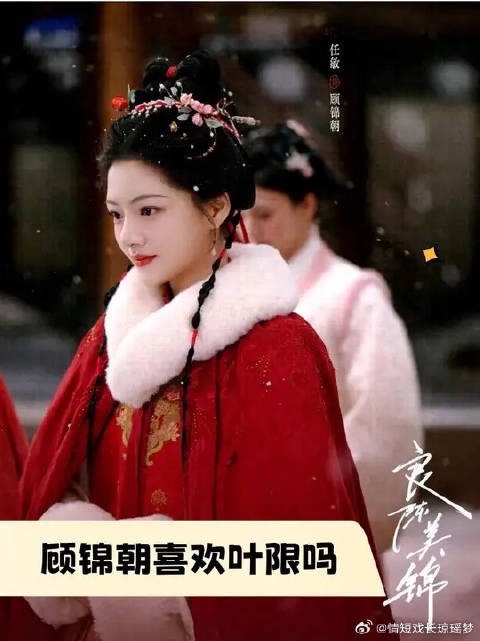 顾锦朝喜欢叶限吗?