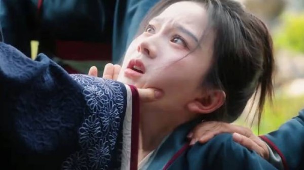 乐君不愿和亲私自出逃被抓