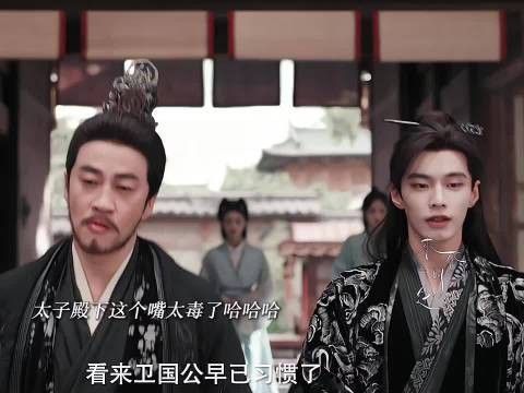 岳父看女婿越来越不顺眼~太子句句扎他心!