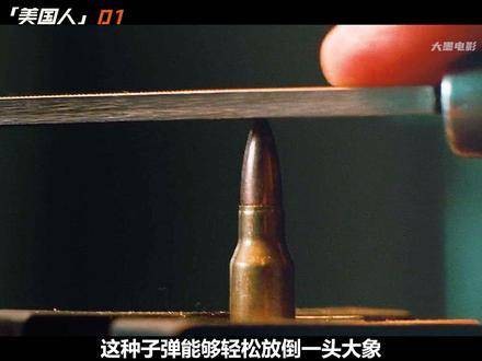 顶级特工对决职业杀手!枪支交易暗流涌动,生死一线间展开终极较量