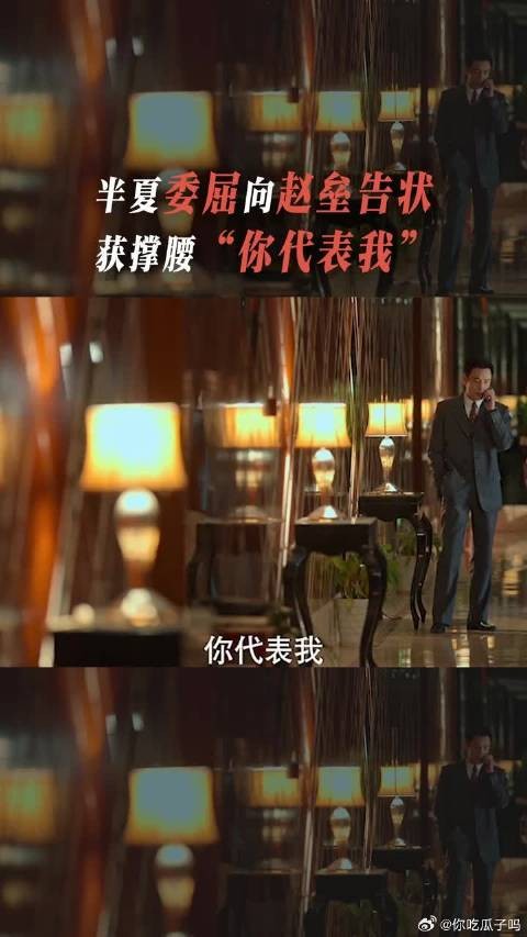 远在异国他乡的许半夏向赵垒求助，一句“你代表我”，像是得到了尚方宝剑！