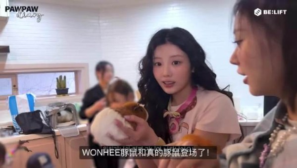 今天 我们大家之所以欢聚在这里 是为了庆祝 世界豚鼠日