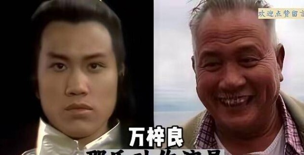 邵氏武侠片当年有多猛？姜大卫狄龙才是真搭档，万梓良其实和他没怎么合作过，别被营销号带偏了