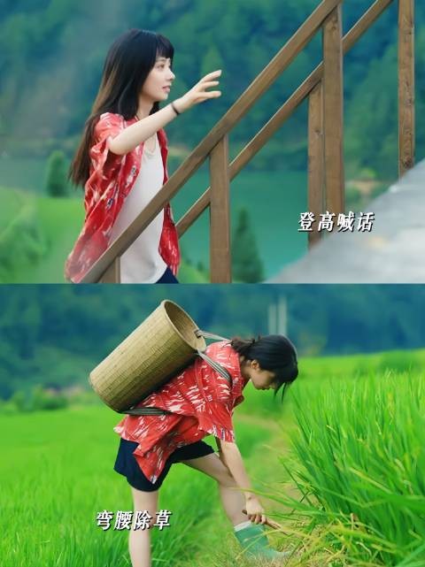 她无需时刻扶腰挺腹,照常劳作、自在生活,将女性那份坚韧展现得酣畅淋漓!
