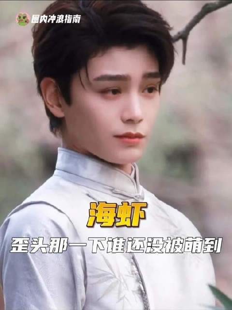 将海虾与小猫奇妙联结的创意者,堪称绝世奇才