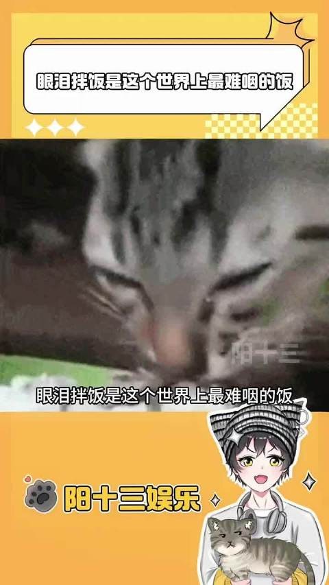 《小时候的自己只会默默的吃下眼泪拌饭》!