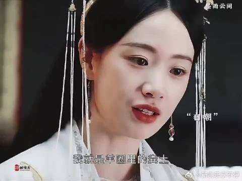 墨雨云间婉宁公主弑父,因当人质致疯批一生被利用