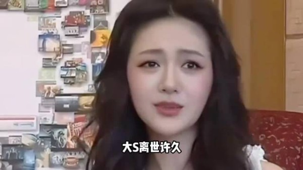 小s否认不管大s孩子,称法律上无法成监护人
