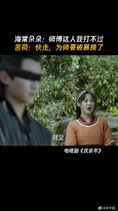 海棠朵朵 -师傅这人我打不过 苦荷 -快走,为师要被暴揍了 庆余年 微博VC计划