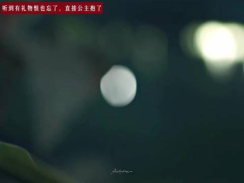慕容清峄你听到lp有给你准备礼物就这样变脸,恨也忘了,只剩下为什么