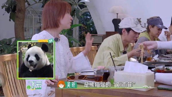 众所周知,刘亦菲是个形容词