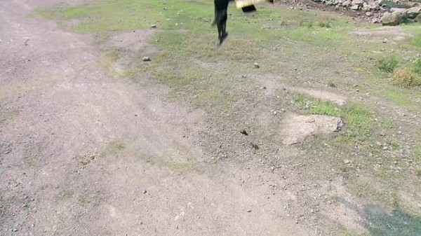 我怀疑 这俩小弟 是故意报复大哥，大哥要被你们踩死了 天天有喜之人间有爱