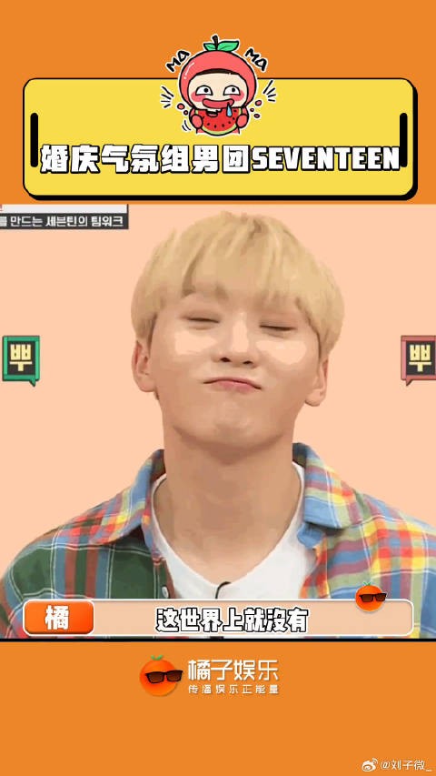 小17退休后的兼职工作,seventeen