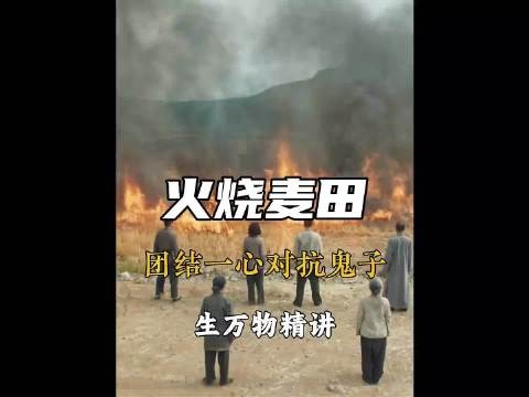 绣绣和大脚带领村民烧毁鬼子的麦田