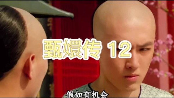 四阿哥登基后忌惮六阿哥，与甄嬛母子隔阂