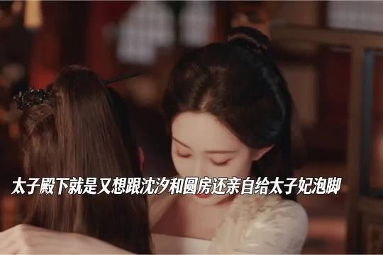 信王太可怜根本没有机会太子殿下亲自给沈汐和泡脚两人圆房被墨玉和丫鬟吃瓜