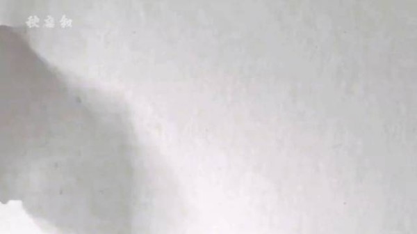 白鹿回眸镜头被称天选王韵娜,解约欢娱独挑大梁