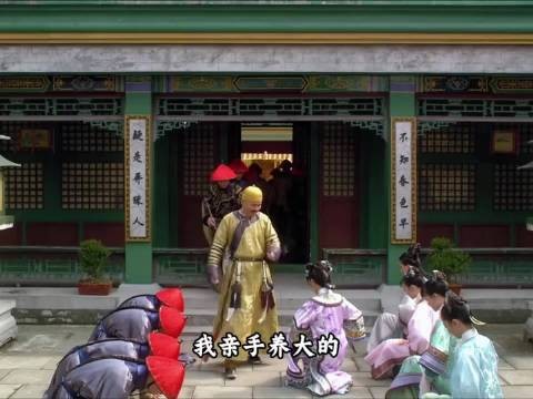 5我亲手养大的怎么会没有我的影子