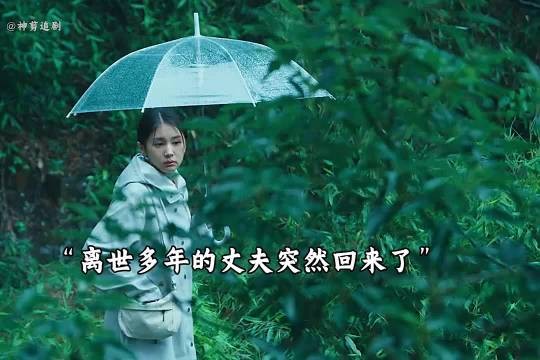 妻子突然撞见离世的丈夫回来,不料背后真相让人破防