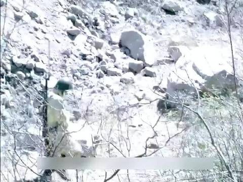 黑人伪装成鬼子想要混进队伍,可没想到意外却发生了