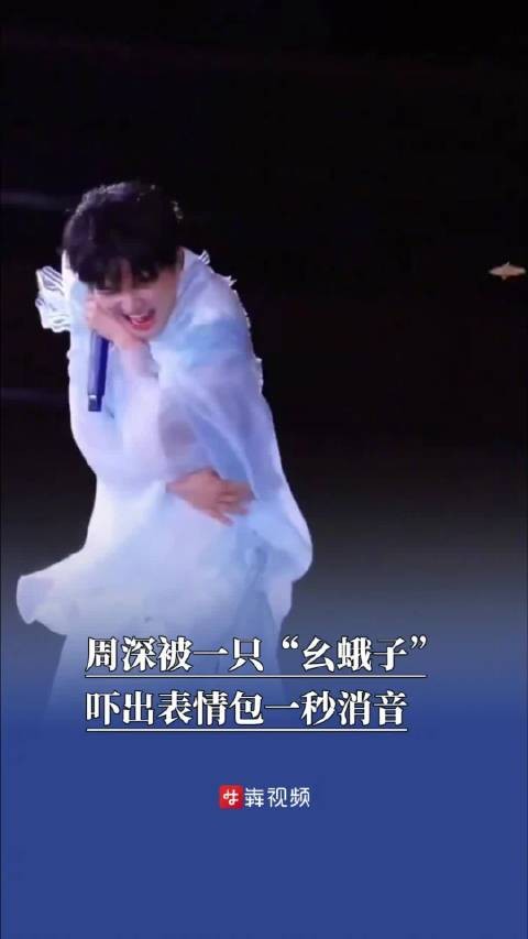 周深沈阳演唱会被飞蛾吓出表情包周深被幺蛾子吓到一秒消音