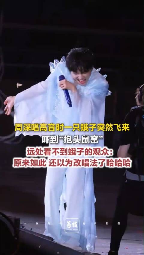 周深演唱会被飞蛾吓到紧急撤回高音“抱头鼠窜”躲避