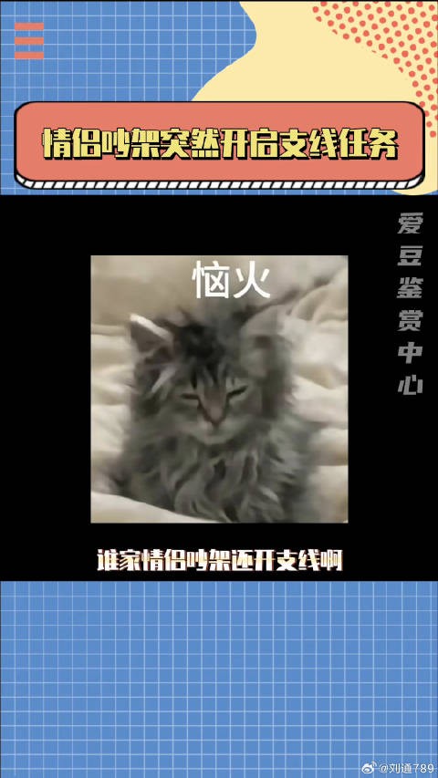 不是，吵个架主打上面一个脑下面一个脑是吧情侣 生活 微博VC计划