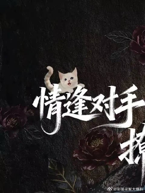戏精遭遇反套路？小仙子精准拿捏大佬的真心！
