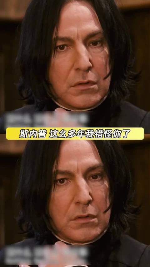 斯内普:九九成稀罕物啊