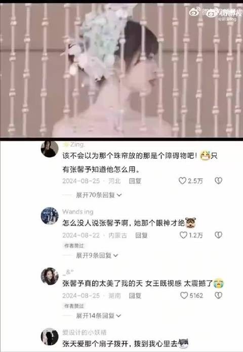 “垂帘听政的帘啊,感觉张馨予的眼神真的很契合 ”